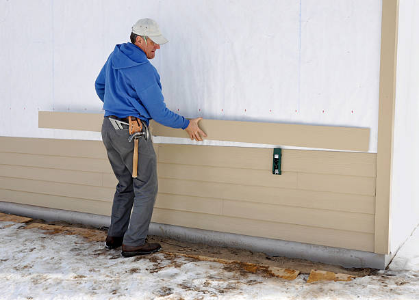 Best Brick Veneer Siding  in Bement, IL